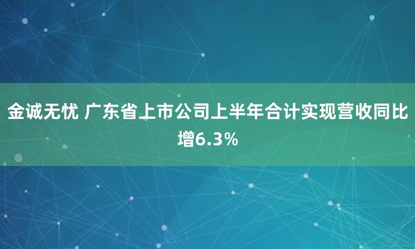 金诚无忧 广东省上市公司上半年合计实现营收同比增6.3%