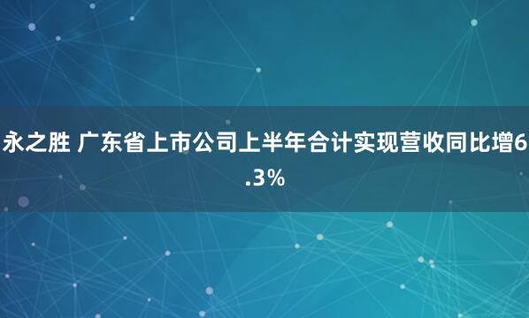 永之胜 广东省上市公司上半年合计实现营收同比增6.3%