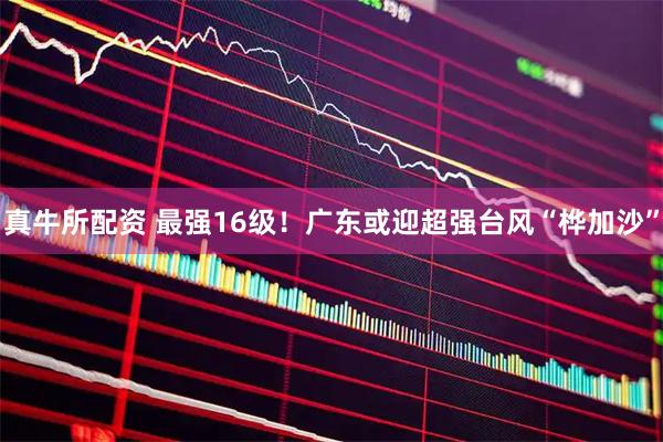 真牛所配资 最强16级！广东或迎超强台风“桦加沙”