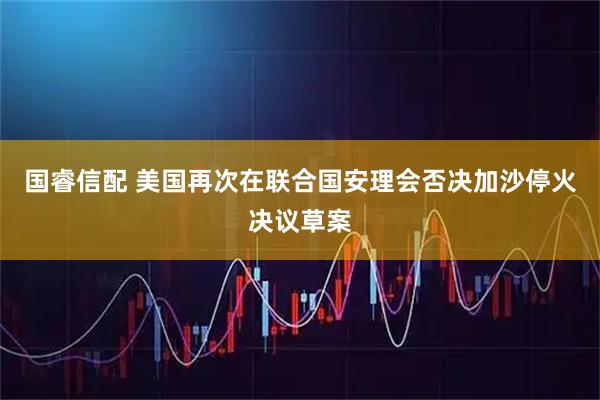 国睿信配 美国再次在联合国安理会否决加沙停火决议草案
