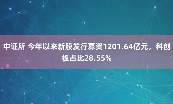 中证所 今年以来新股发行募资1201.64亿元，科创板占比28.55%